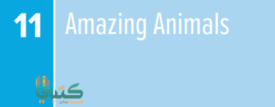 U11 Amazing Animals U11 Amazing Animals